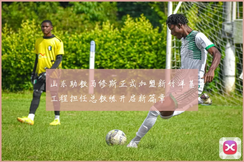 山东助教马修斯正式加盟新竹洋基工程担任总教练开启新篇章